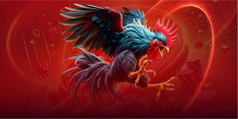 Đá gà thomo nơi hấp dẫn những kê thủ đam mê